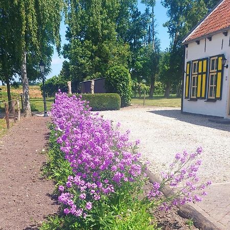 De Nieuwe Stal Lägenhet Scherpenisse Exteriör bild