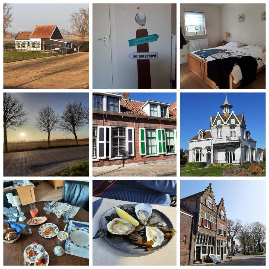 De Nieuwe Stal Lägenhet Scherpenisse Exteriör bild