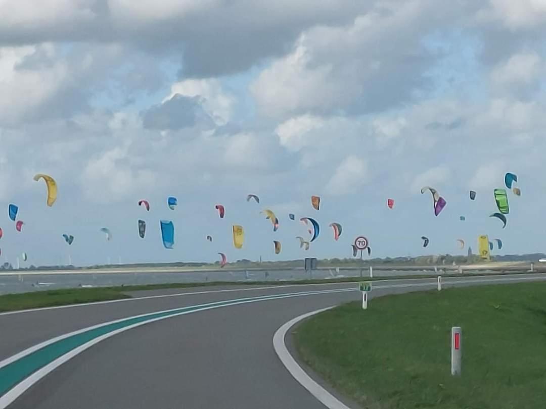 De Nieuwe Stal Lägenhet Scherpenisse Exteriör bild