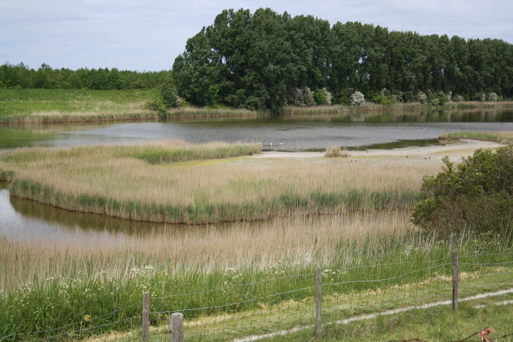 De Nieuwe Stal Lägenhet Scherpenisse Exteriör bild