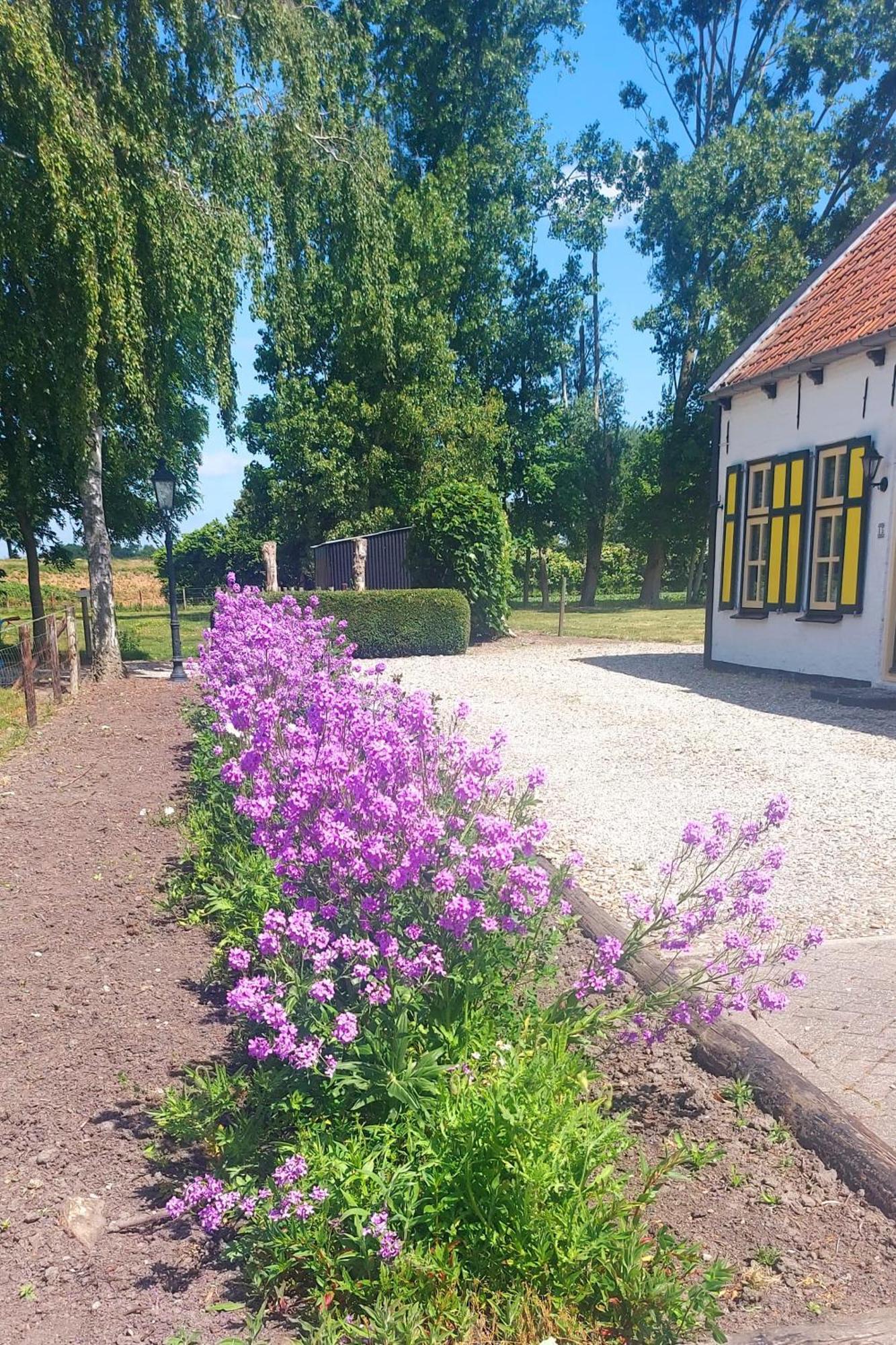 De Nieuwe Stal Lägenhet Scherpenisse Exteriör bild